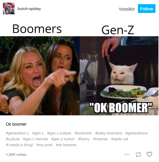 Gen X Memes For Anyone Delighting In The Boomer Millennial Feud